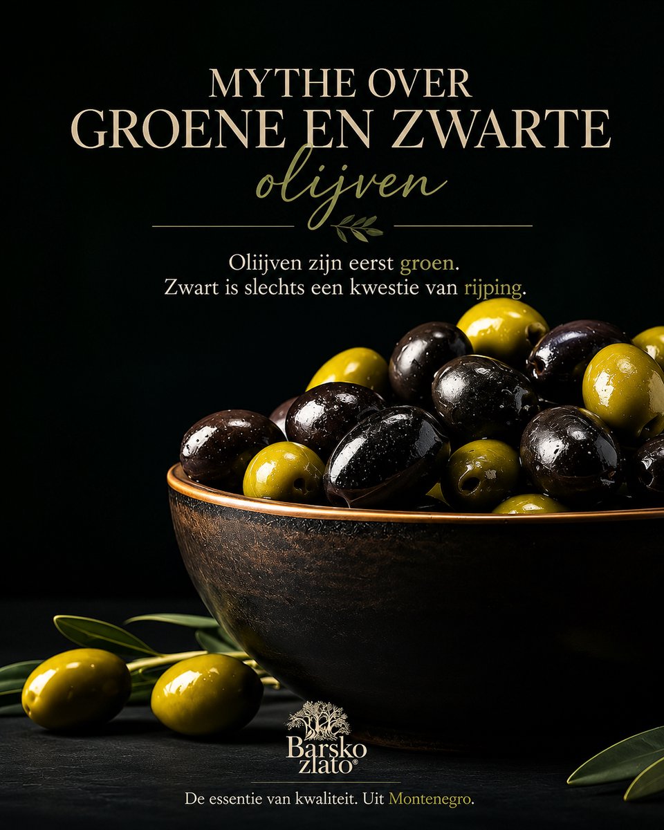 Barsko Zlato – Extra Vierge Olijfolie uit Montenegro 250/500 ml - Afbeelding 5